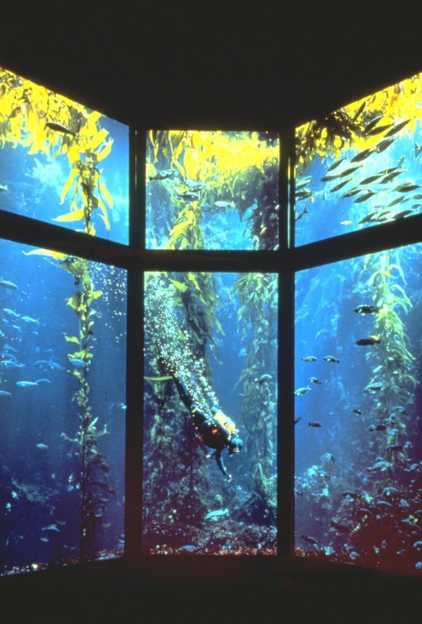 Monterey Bay Inn Exteriér fotografie