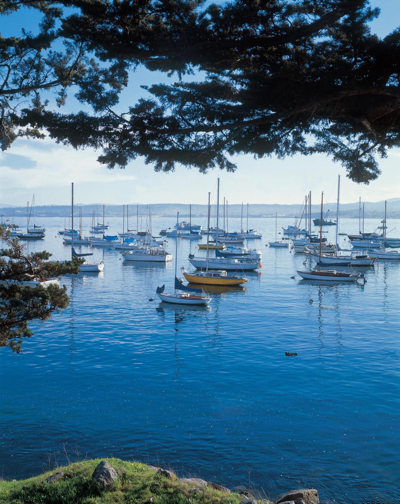Monterey Bay Inn Exteriér fotografie